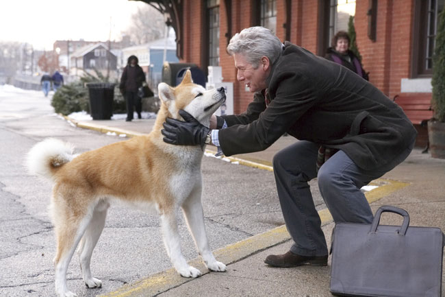 hachiko