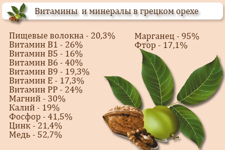 Корисні властивості волоського горіха для жінок, чоловіків і дітей. Рецепти і як вживати