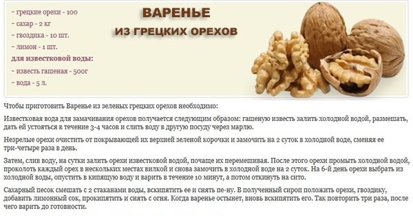 Корисні властивості волоського горіха для жінок, чоловіків і дітей. Рецепти і як вживати