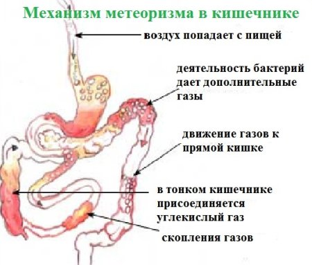 Плантекс для новонароджених. Інструкція по застосуванню