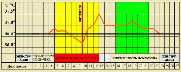 Небезпечні дні для вагітності після місячних розрахувати