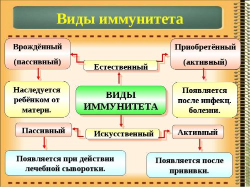 Штучний пасивний імунітет формується після введення сироватки