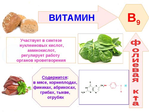 Вітамін В9: в яких продуктах міститься