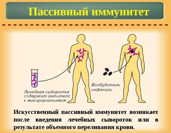 Штучний пасивний імунітет виробляється після введення сироватки