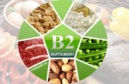 Вітамін B2: в яких продуктах міститься