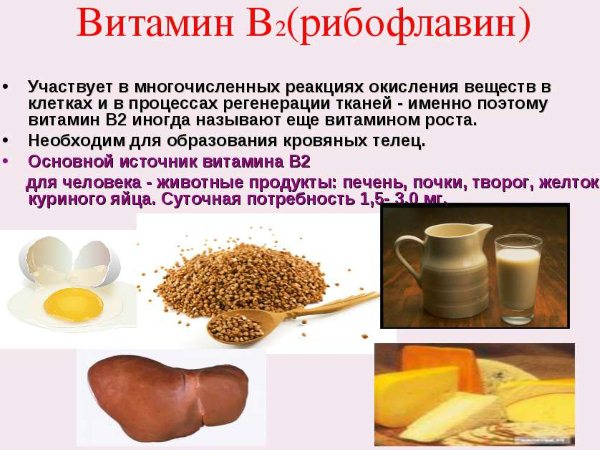 Вітамін B2: в яких продуктах міститься