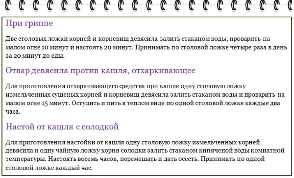 Дивосил - лікувальні властивості, користь і протипоказання. Опис, види рослини, препарати з оманом і їх застосування