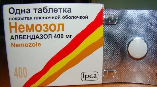 Паразити в організмі людини: лікування медикаментозне і народними засобами