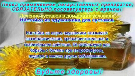 Кульбаба - лікувальні властивості і протипоказання, користь і можливу шкоду застосування. Рецепти застосування кореня, квіток, листя