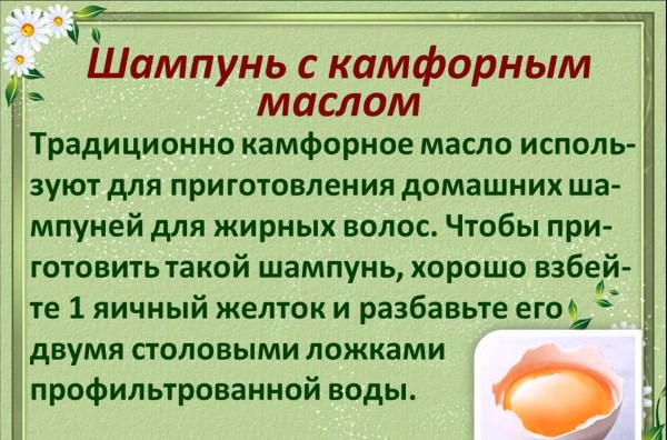 Камфорне масло - застосування в медицині і косметології дорослим і дітям. Корисні і лікувальні властивості, протипоказання