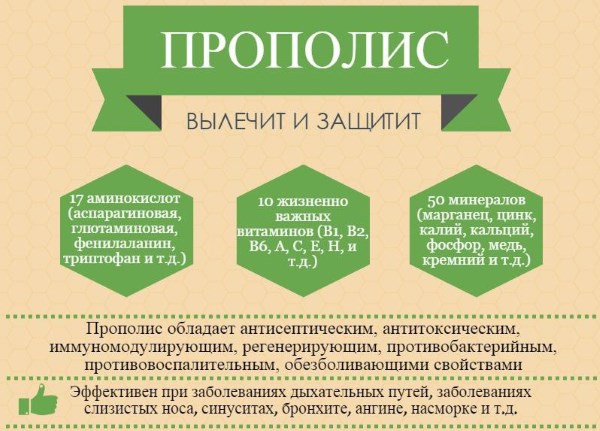 Настоянка прополісу. Лікувальні властивості і протипоказання. Приготування на спирту, застосування для імунітету