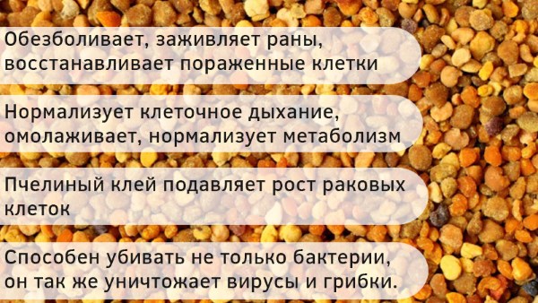 Настоянка прополісу. Лікувальні властивості і протипоказання. Приготування на спирту, застосування для імунітету