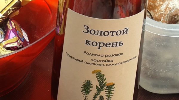 Золотий корінь - родіола рожева. Лікувальні властивості для чоловіків, жінок. Настоянка золотого кореня