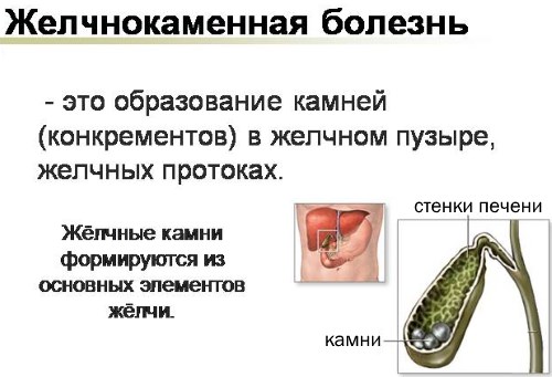 Репешок. Корисні, лікувальні властивості та протипоказання. Що лікує звичайний репешок. фото